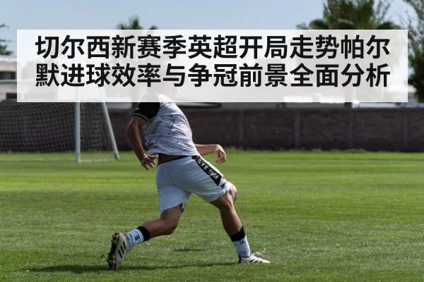 切尔西新赛季英超开局走势帕尔默进球效率与争冠前景全面分析