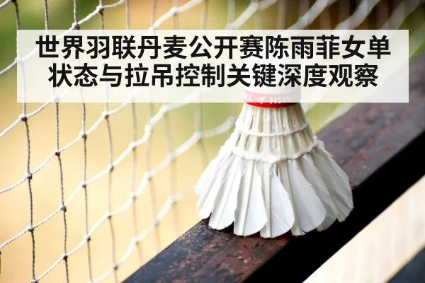 badminton shuttlecock net close up