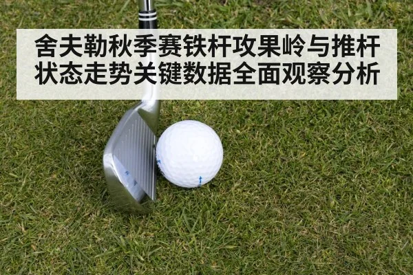 舍夫勒秋季赛铁杆攻果岭与推杆状态走势关键数据全面观察分析